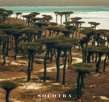 Socotra